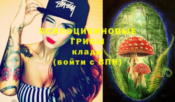 МДПВ Алзамай