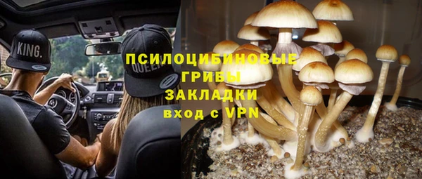 героин Алексин
