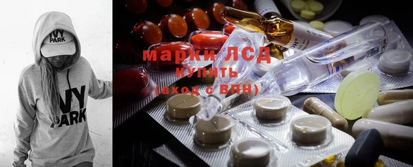 прущие грибы Алексеевка