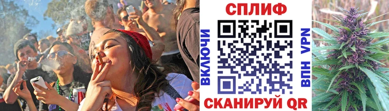 Шишки марихуана семена  Йошкар-Ола 