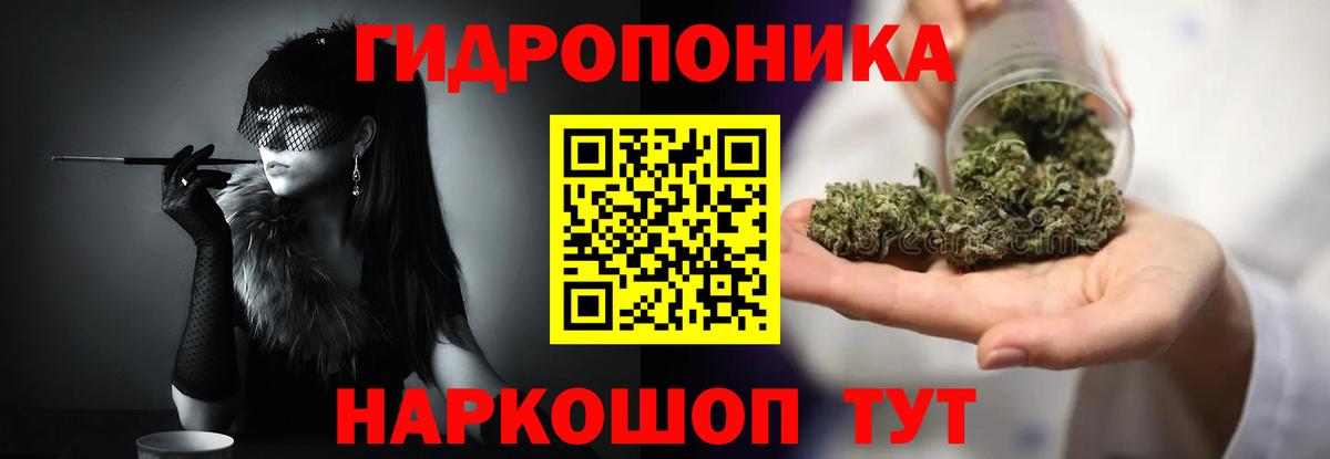Каннабис сатива Йошкар-Ола